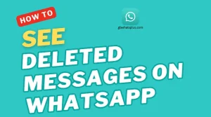 see deleted messages on whatsapp